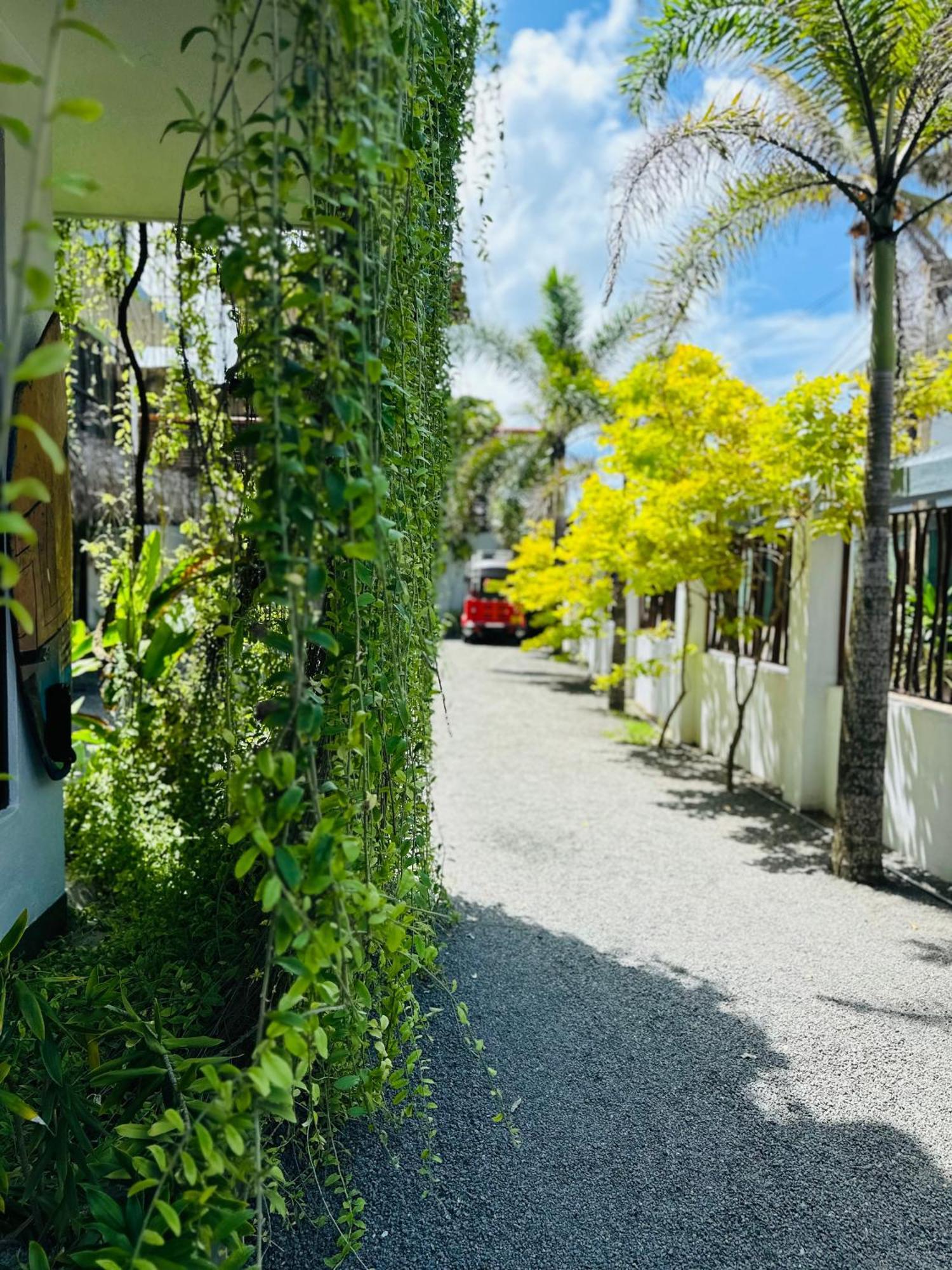 Cozy Sea View Inn Hikkaduwa Exterior photo